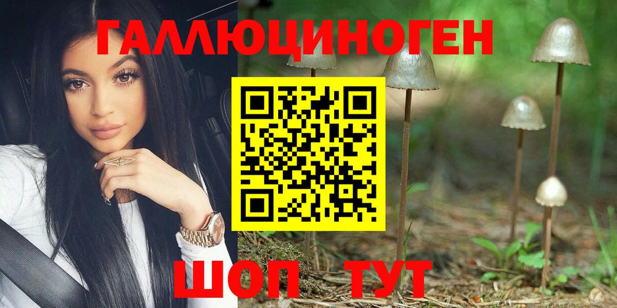 Галлюциногенные грибы Magic Shrooms  Вход с VPN  цены   Гурьевск  Галлюциногенные грибы Psilocybe 