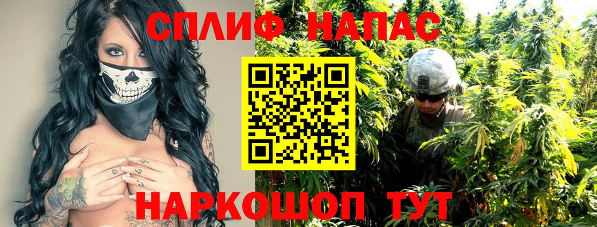 Каннабис семена Гурьевск